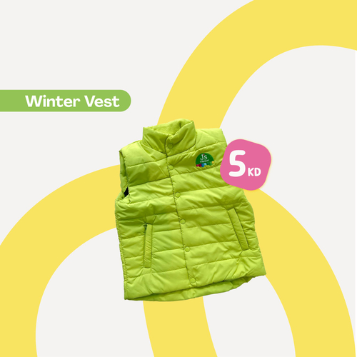 Winter Vest